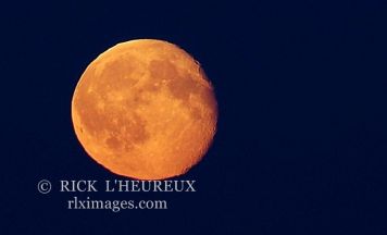 Harvest Moon